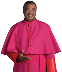 Roman Purple Clergy Shoulder Cape