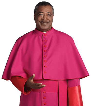Roman Purple Clergy Shoulder Cape