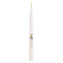RCIA Taper Candles Case of 24